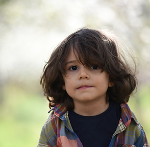 pexels-jonas-mohamadi-1427288.jpg