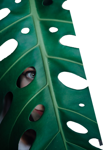 pexels-wesley-carvalho-4127923.png