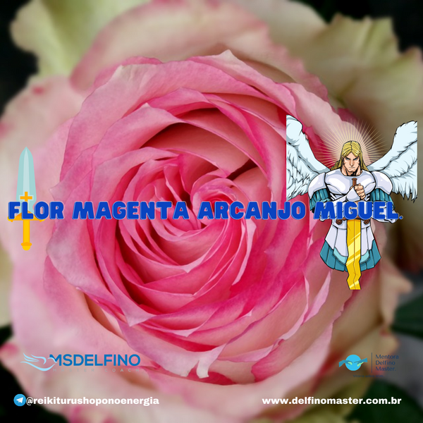 Este presente vem do Arcanjo Miguel. É uma energia muito reconfortante, ligado ao chacra do coração. Ajuda-nos a abraçar-nos e a abrir-nos a nós próprios. Pode realizar a cura com esta energia nos outros, mas o melhor é usá-lo sobre nós próprios.
