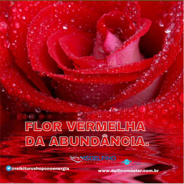 O Abundantia's Red Flower/ Flor Vermelha da Abundância está ligado ao primeiro chakra, o básico, a sobrevivência. É um chakra forte. A energia de cor vermelha é puramente para a abundância, a riqueza! Não só no material do mundo, mas abundância em todos os aspectos da vida, incluindo o plano espiritual.