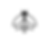 Firefly black logo 1.png