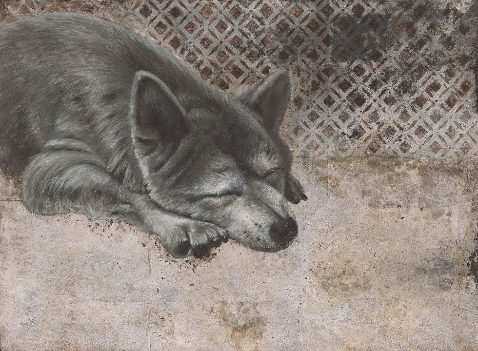 Paigu (the dog's name) 排骨