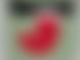 12 Days of Christmas: Day 6