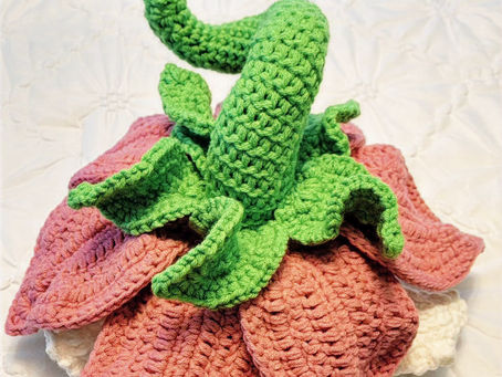 Crochet Catch-up