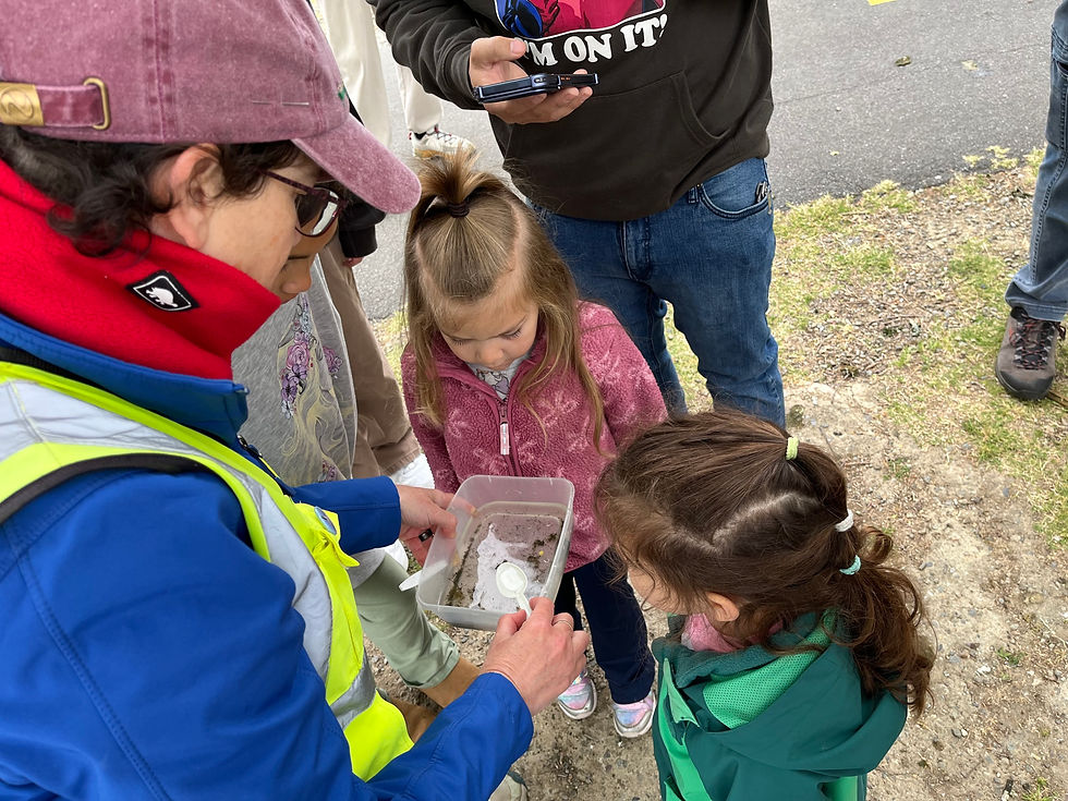 Observing Water Critters
