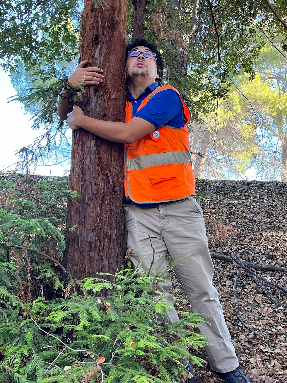 Colter hugging a redwood tree
