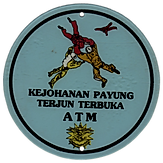 ATM 1991 (1).png