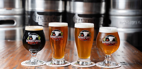 Banded Beer Banner.jpeg