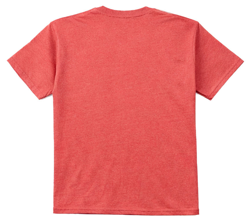Thumbnail: Buena Vista Colorado T-Shirt  Back Terracotta