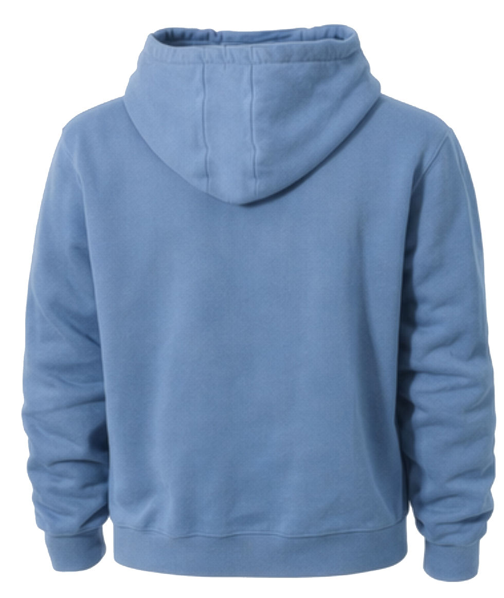 Thumbnail: Colorado blue applique souvenir hooded sweatshirt back