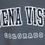 Thumbnail: Buena Vista Colorado Souvenir Crew Sweatshirt in Moon Onyx/Gray