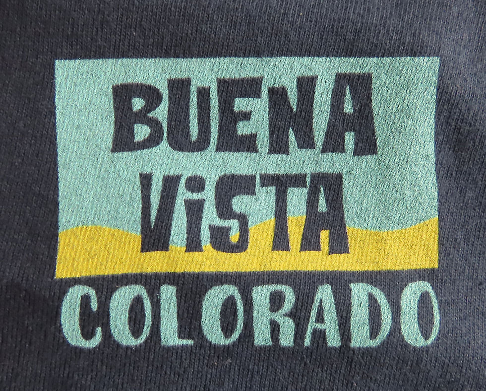Thumbnail: Icons of Buena Vista CO T-shirt front enlarged