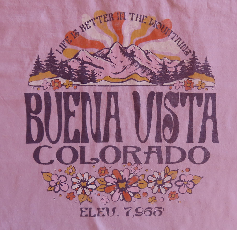 Thumbnail: Buena Vista Colorado “Life Is Better in the Mountains” T-Shirt