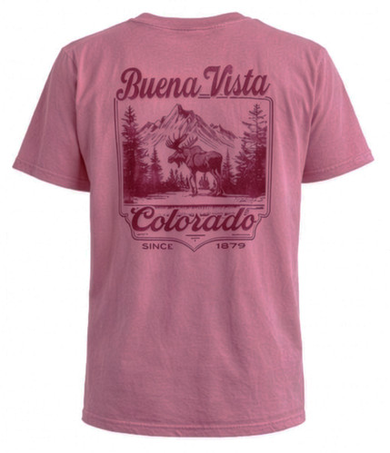 Buena Vista Colorado Moose T-Shirt | Swift River Ice Cream, T