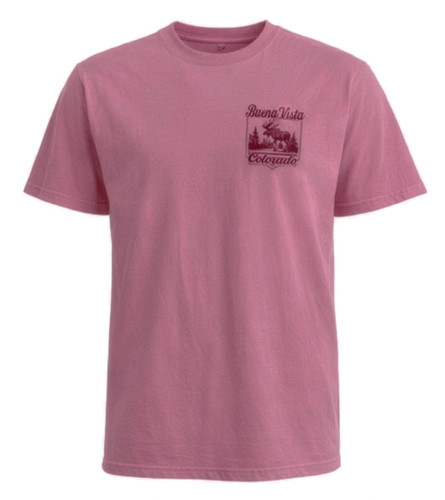Buena Vista Colorado Moose T-Shirt | Swift River Ice Cream, T
