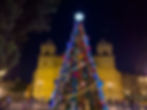 Colorful Christmas tree with lights and ornaments in a plaza of the Alameda, framed by a the cathedral of Oaxaca and trees at night. Festive and vibrant mood.