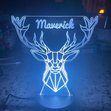 Maverick light