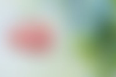 Gehirn und Vergiss mein nicht