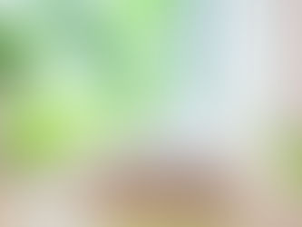 Rückblick Veranstaltung Allergien in den eigenen vier Wänden