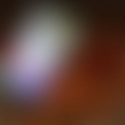 Neues auf Social Media