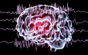 Epilepsie ist eine der häufigsten neurologischen Erkrankungen und betrifft weltweit etwa 50 Millionen Menschen. Sie beruht auf einer vorübergehenden, übermäßigen Aktivität von Nervenzellen im Gehirn, die zu wiederkehrenden epileptischen Anfällen führt. 