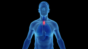 Speiseröhrenkrebs - Interview mit Priv.-Doz. Dr. Gerd Jomrich