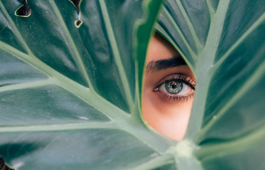 Peeping Through a Leaf