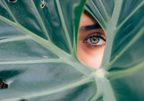 Grâce à la respiration, l'oxygénation cellulaire est assuré en profondeur, la aussi, par l'évacuation des toxines accumulées, vous aurez une meilleure et plus grande respiration. Fondamentale et essentielle, elle contribue à vous apporter le calme nécessaire pour (r)établir l'équilibre personnel. Ces techniques bien particulières que sont les pranayamas, apportent immédiatement le calme intérieur, aide à prendre du recul, à clarifier les situations compliquées, elles nous apprennent à être à l'écoute de soi, et à prendre conscience dans l'harmonie.