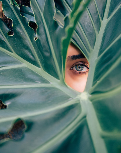 Peeping Through a Leaf
