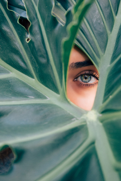 Peeping Through a Leaf