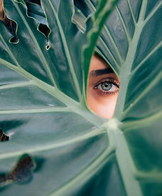 Peeping Through a Leaf