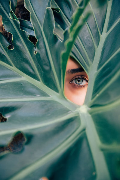 Eye Through Leaf