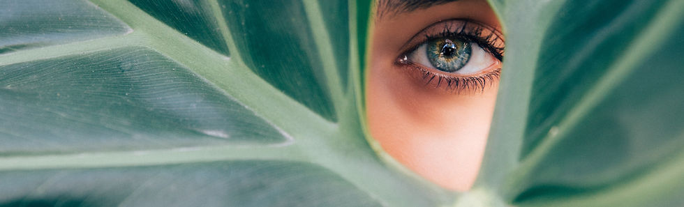 Peeping Through a Leaf