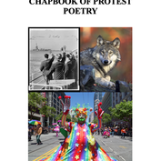 What May Not Be Erased: A Chapbook of Protest Poetry