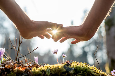 Close up Bare Hand of a Man Covering Small Flowers at the Garden with Sunlight Between Fin