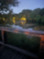 Clue 20: Spotty Sidekick (Easy Clue)