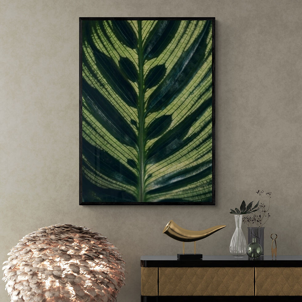 Transpassando o Verde