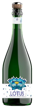 Lótus Branco - Sem Fundo PNG.png