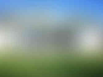 Backyard of accommodation on Bribie Island.