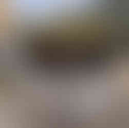 House under construction with a ladder in the foreground, showing roof trusses and internal wall frames.