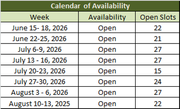 Availability image.png