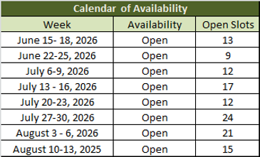 Availability image.png
