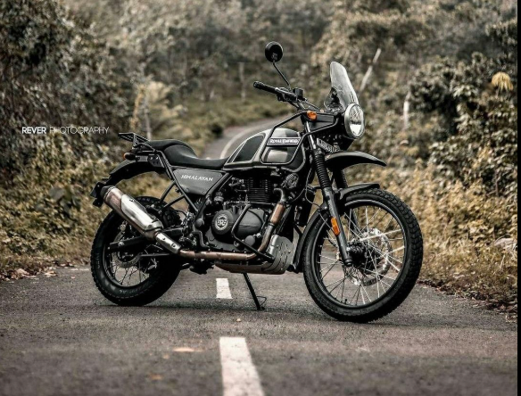 Himalayan