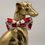 Thumbnail: Pet Bow Tie - 5 size POINTSETTA