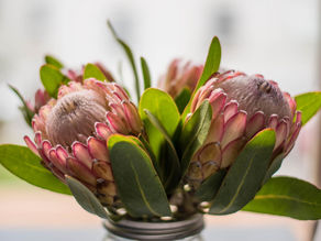 Making Content Bloom For You