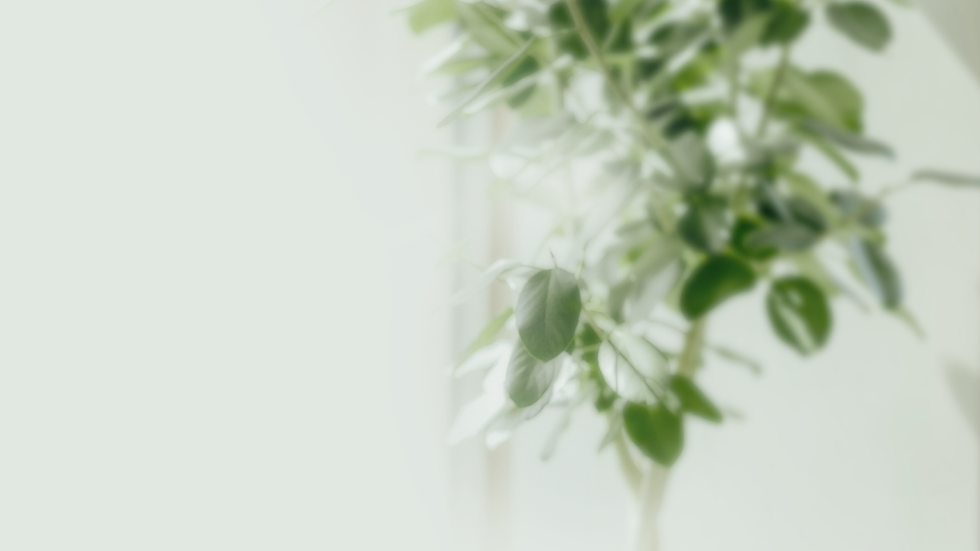 A Beautiful Day background.png