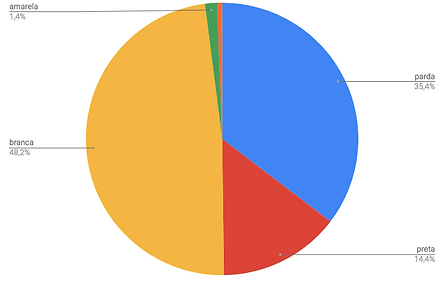 3 - GRAFICO - IDENTIDADE RACIAL.png