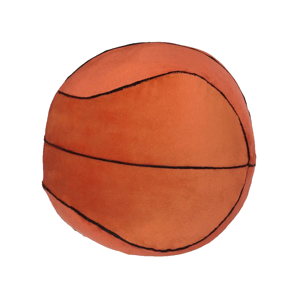 SLAM DUNK! Basketball Sports Ball
