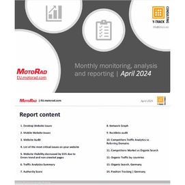Digital Marketing Analytics, Report content