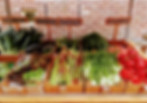 Naturopathic Practitioner Services